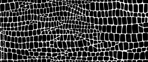 Snake reptile, crocodile or dinosaur animal leather skin pattern, vector background. Abstract black and white texture background of crocodile or snake skin pattern, python, alligator or cobra leather