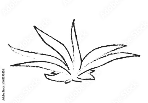 Planta de río dibujada con trazos de lápiz negro