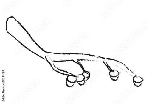 Rama de árbol con bellotas dibujado con lápiz negro