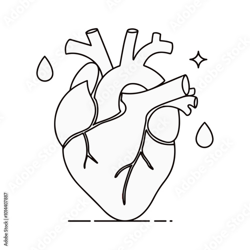 Hand-Drawn Illustration of the Human Internal Organ Heart, human heart outline stroke drawing for surgery, kids drawing book, heart anatomy, biology, zology