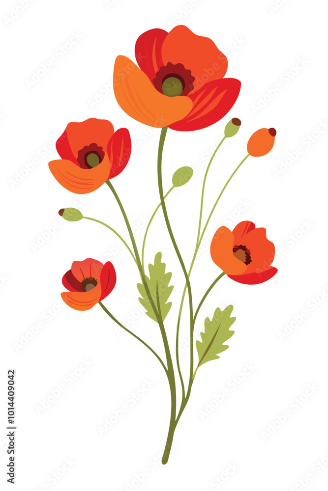 Fototapeta premium Poppy Branch with Beautiful Flowers on a Clean White Background for Elegant and Artistic Design