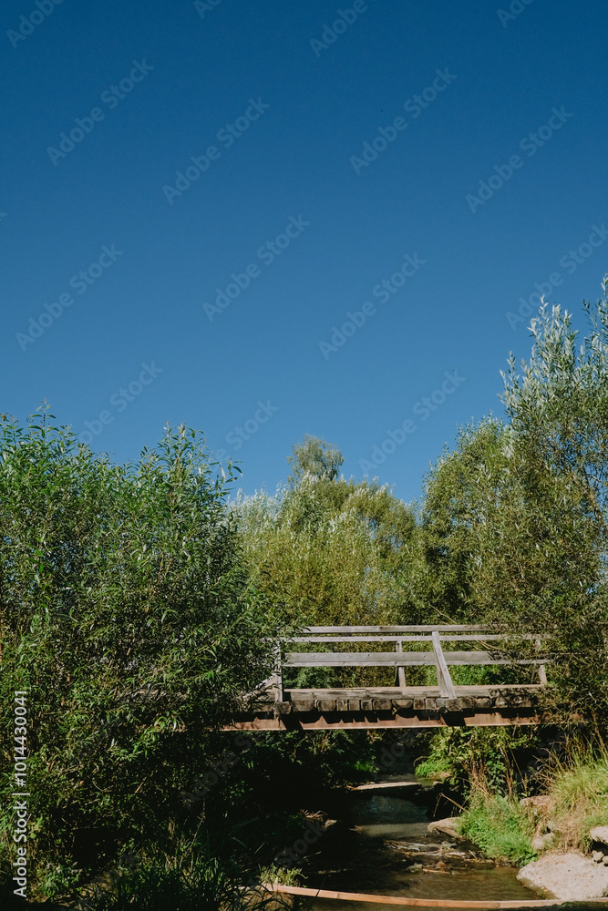 Obraz premium A peaceful wooden bridge crossing a serene stream surrounded by lush greenery on a clear blue sky day
