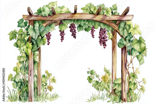 **Description:** A watercolor illustration of a rustic arch adorned with green grapevines and ripe grapes, surrounded by lush greenery.