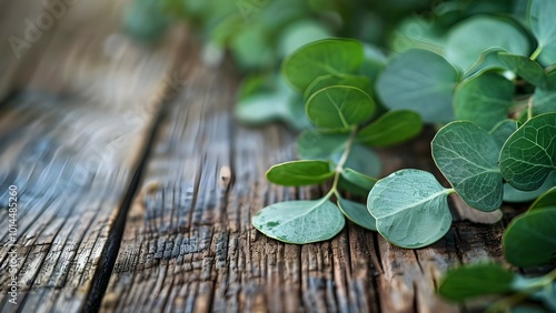 close up of eucalyptus on wooden table