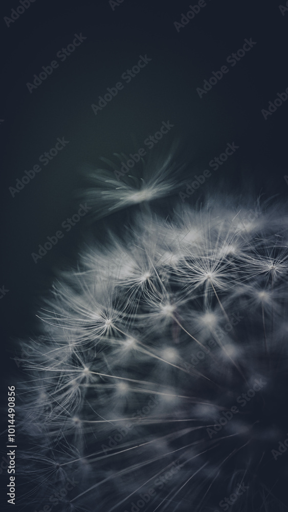 Naklejka premium Herbst