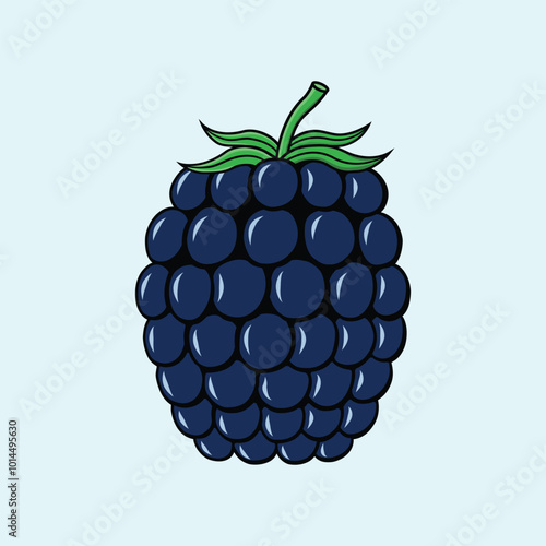 Blackberry fruit isolated. vector design