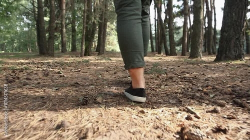 Low angle follow shot of young woman legs wearing green pants and black sneakers walking trough coniferous forest