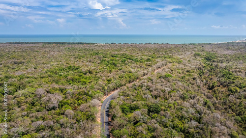 Aerial view Phuoc Buu Nature Reserve at Ba Ria Vung Tau. Concept travel trip in Vietnam nature beautiful landmark. photo