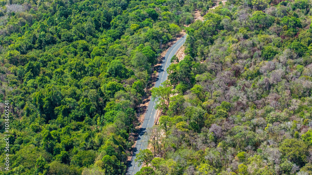 Aerial view Phuoc Buu Nature Reserve at Ba Ria Vung Tau. Concept travel trip in Vietnam nature beautiful landmark. Aerial view Phuoc Buu Nature Reserve at Ba Ria Vung Tau. Concept travel trip in Vietnam nature beautiful landmark.