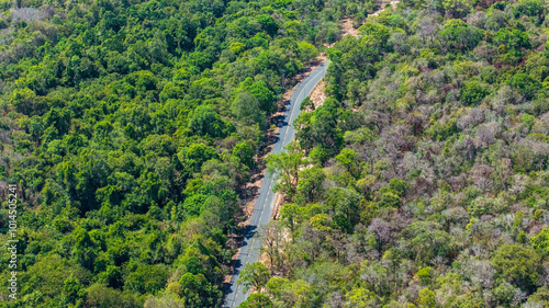 Aerial view Phuoc Buu Nature Reserve at Ba Ria Vung Tau. Concept travel trip in Vietnam nature beautiful landmark. photo