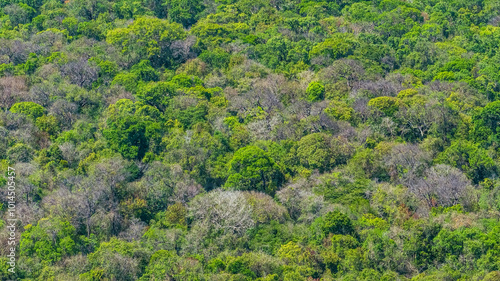 Aerial view Phuoc Buu Nature Reserve at Ba Ria Vung Tau. Concept travel trip in Vietnam nature beautiful landmark. photo