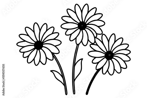 
daisy flower silhouette vector, daisy flower outline vector illustration
