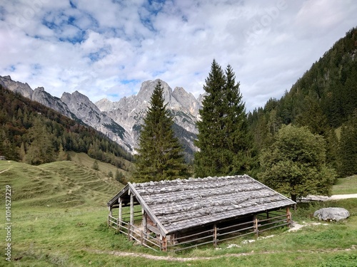 Auf der Alm photo