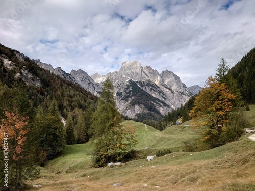 Auf der Alm photo