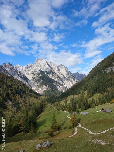 Auf der Alm photo