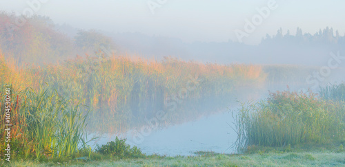 The edge of a lake in a morning mist at sunrise, Almere, Flevoland, The Netherlands, October 5, 2024