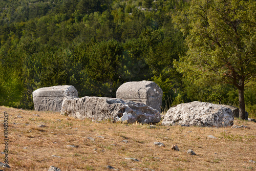 Necropolis Velika and Mala Crljivica (Big and Small Crljivica) near the village of Cista Velika in Croatia with tombstones decorated with intricate carvings photo