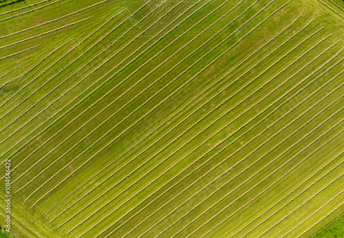 field from above