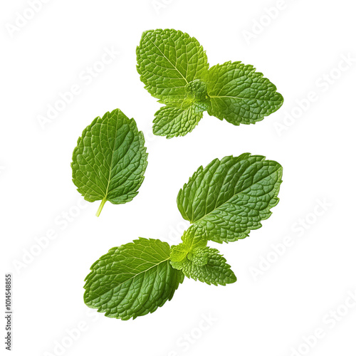 Fresh green mint leaves isolated transparent, Generative AI