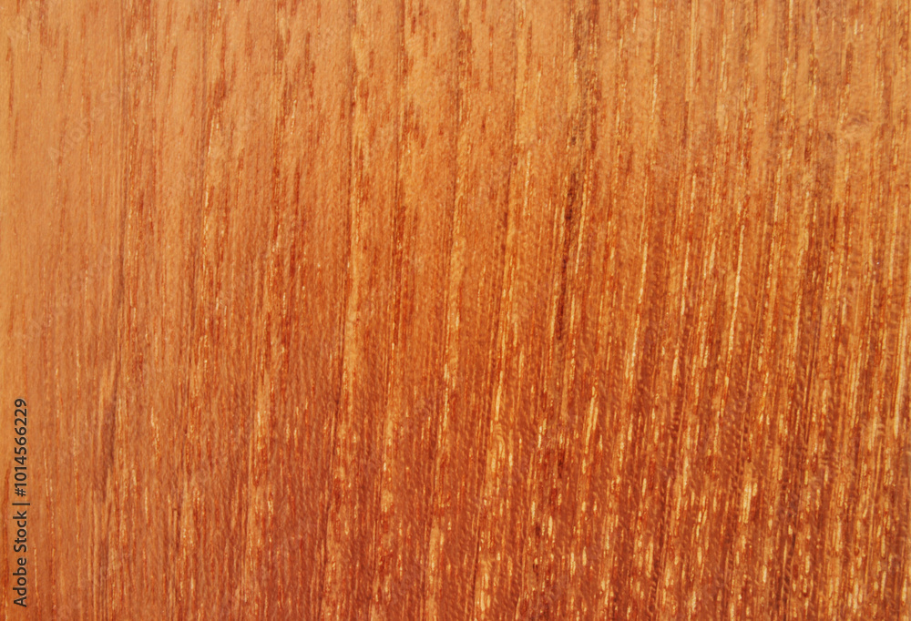 Naklejka premium Wooden texture, acacia wood texture as background