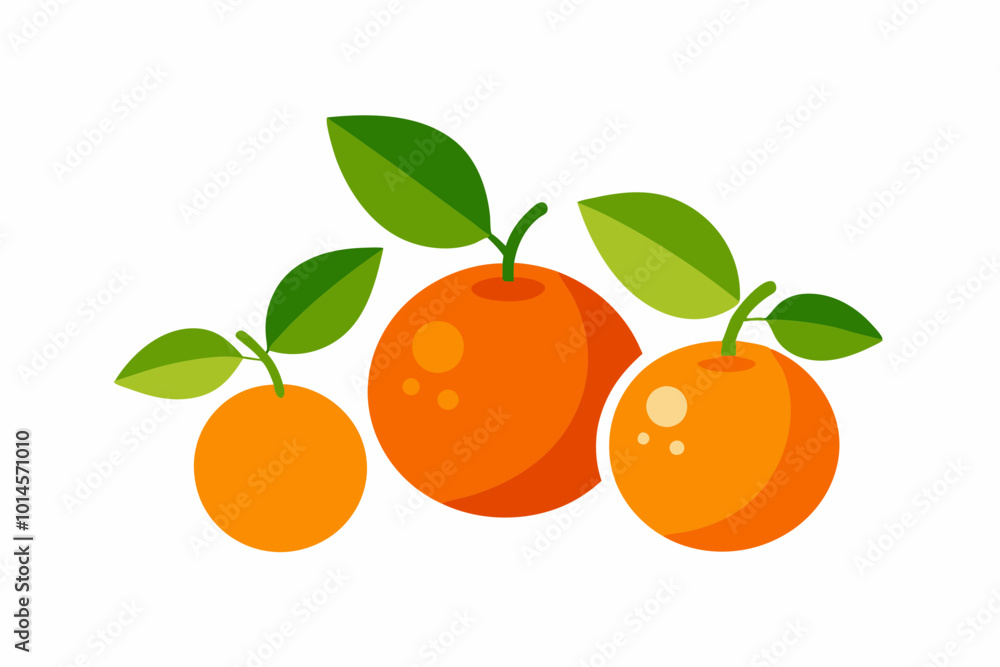 Mandarins and Oranges creative vector design on a white background Mandarins and Oranges creative vector design on a white background
