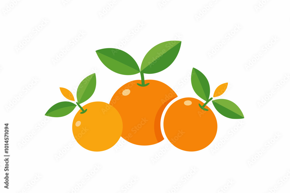Mandarins and Oranges creative vector design on a white background Mandarins and Oranges creative vector design on a white background