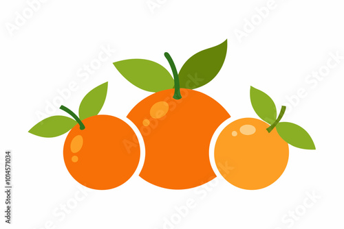 Mandarins and Oranges creative  vector design on a white background