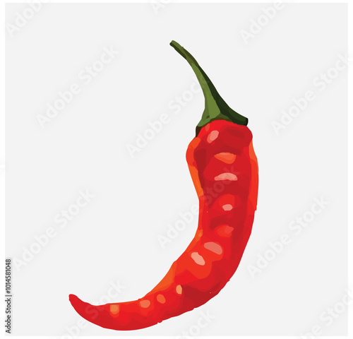 hot chili pepper. cartoon style vector. hot red chili illustration for natural organic food