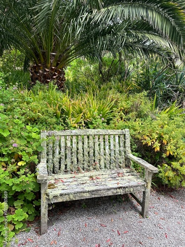 Tresco Bench photo