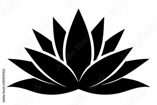Agave, Agave plant silhouette vector, Cactus vector icon