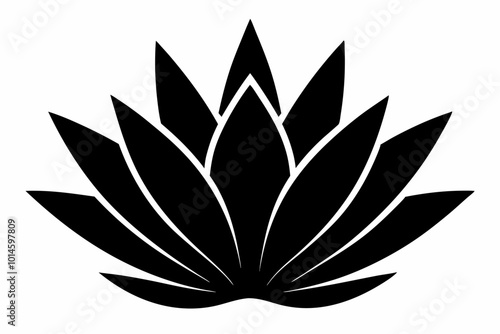 
Agave plant vector, agave symbol, Cactus vector icon

