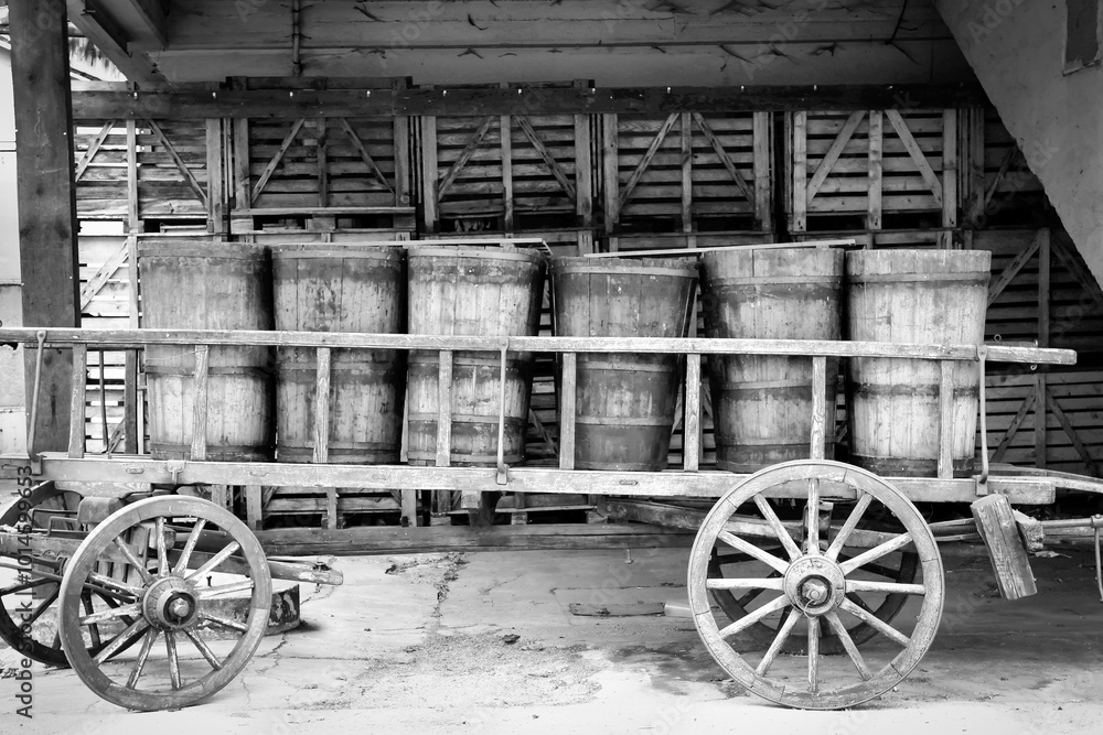 old transport carriage with wooden wine barrels in Alsace