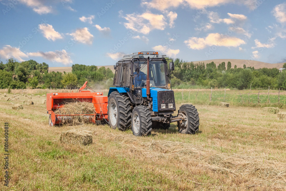 Agricultural work. Hay harvesting. Tractor collects straw into bales Agricultural work. Hay harvesting. Tractor collects straw into bales