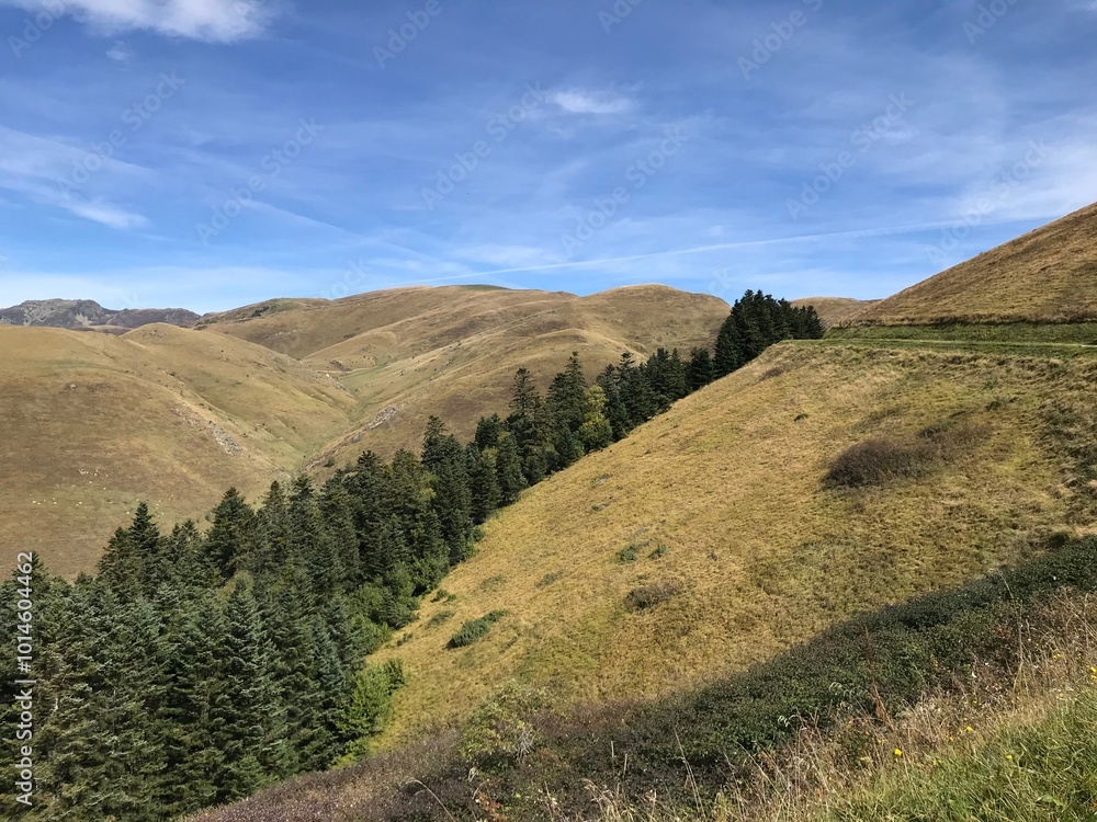 Naklejka premium pyrenees nature landscape from the road