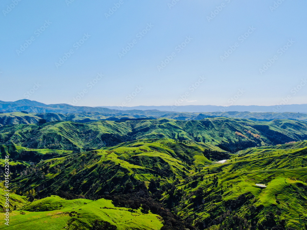 Obraz premium Rolling green hills and valleys of New Zealand’s North Island, showcasing the lush countryside and natural beauty