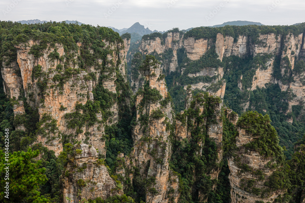 Fototapeta premium 張家界