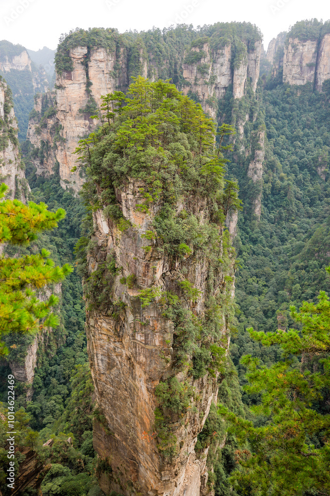 Fototapeta premium 張家界
