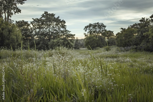 A photo of green grass in a natural setting