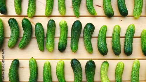 Photography Cucumbers Fresh Top View Green Wooden Background Natural Pattern