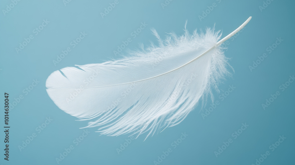 Obraz premium Close-up of a delicate white feather floating gracefully against a soft blue background, symbolizing lightness and freedom.
