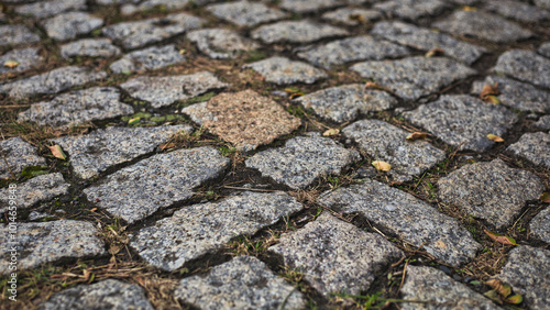 Kopfsteinpflaster Weg - Cobblestones - High quality photo photo