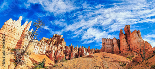 Bryce Canyon National Park, Navajo Trail, Utah, USA photo