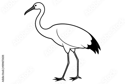 Ibis bird black silhouette, ibis bird animal vector illustration photo