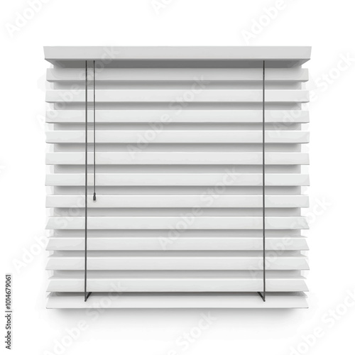 White Window Blinds 
