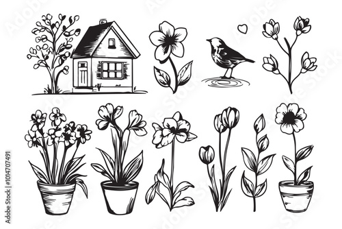 Elegant Hand-Drawn Floral Designs.