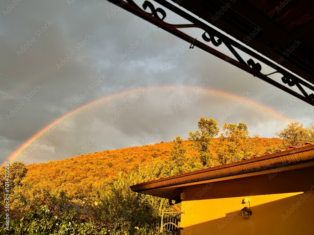 autumn in the park with rainbow