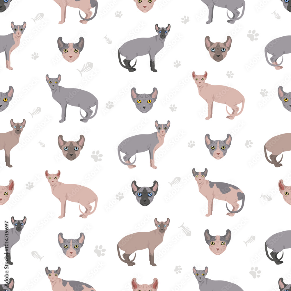Elf Sphynx Cat seamless pattern. All coat colors set. All cat breeds characteristics infographic. Vector illustration Elf Sphynx Cat seamless pattern. All coat colors set. All cat breeds characteristics infographic. Vector illustration