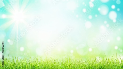 A serene grassy field under a bright sky with soft bokeh effects.