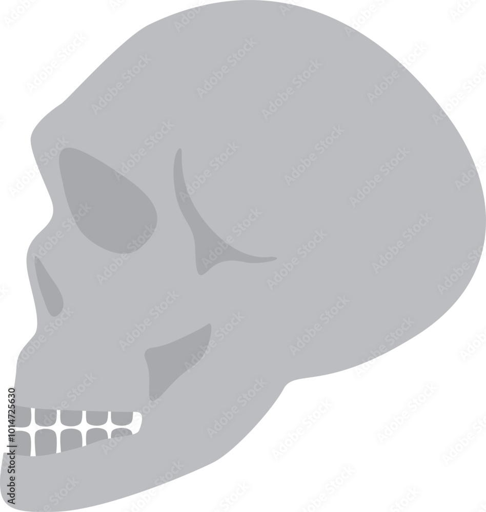 Obraz premium Skull illustration