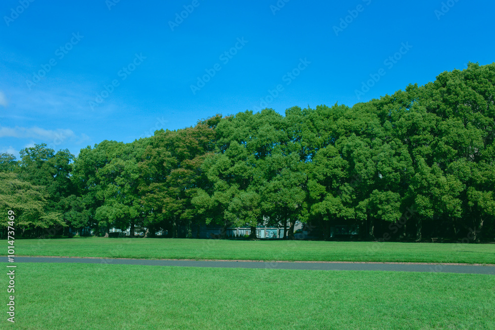 Green Park Green Park
